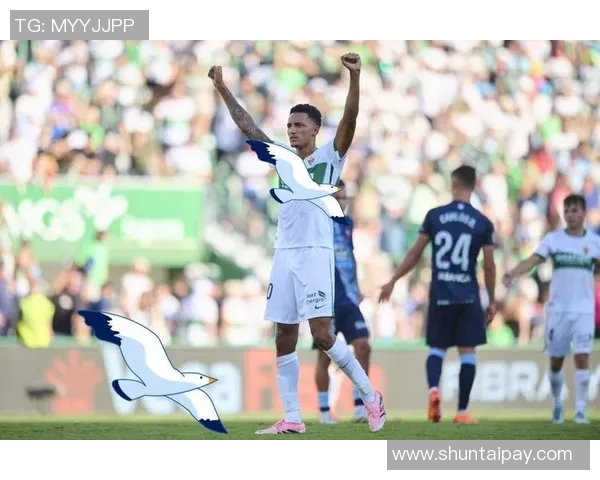 皇马与埃瓦尔对决前瞻分析及比赛结果预测全面解读