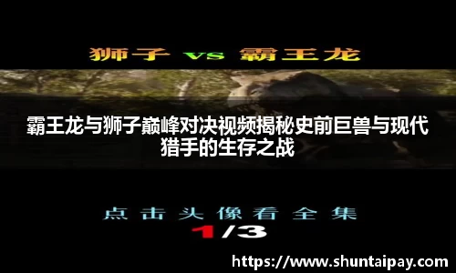 星空电竞官方网站