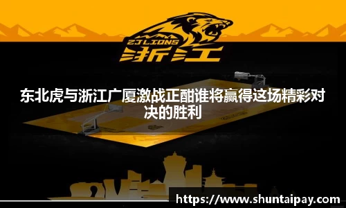 星空电子首页网站