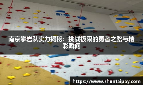 星空电子首页网站